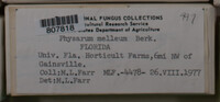 Image Associated With the Occurence